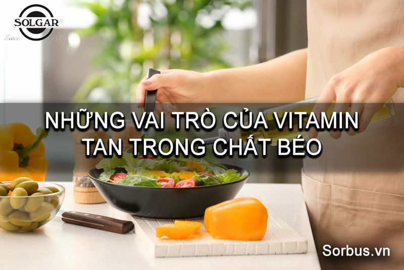 vai-tro-cua-vitamin-tan-trong-chat-beo-hinh1