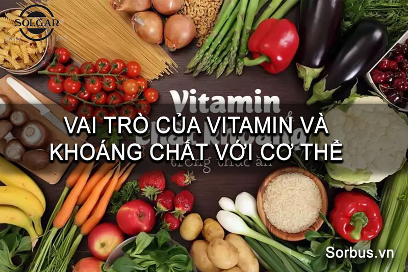 vai-tro-vitamin-doi-voi-co-the-hinh1